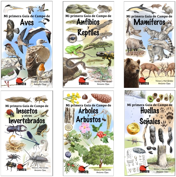 ultimas publicaciones