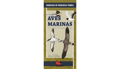 Aves marinas. Introducción a las especies ibéricas