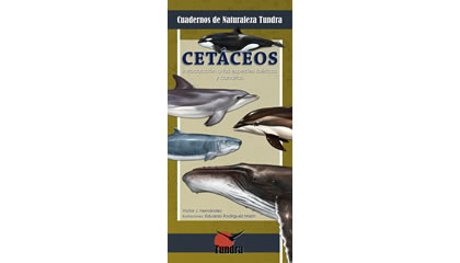 Cetáceos. Introducción a las especies ibéricas y canarias