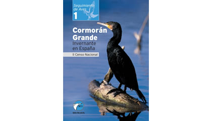 Cormorán grande invernante en España