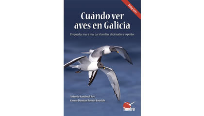 Cuándo ver aves en Galicia