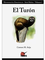 El turón