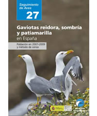 Gaviotas reidora, sombría y patiamarilla en España