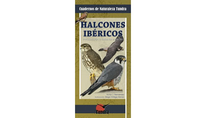 Halcones ibéricos. Introducción a todas las especies