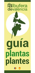L’Albufera de València. Guía de plantas