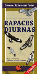 Rapaces diurnas