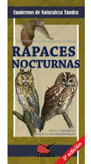 Rapaces nocturnas