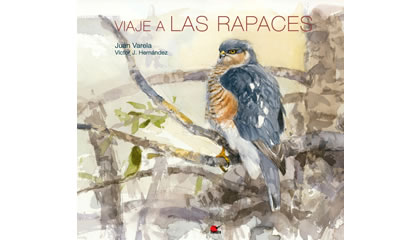 Viaje a las rapaces