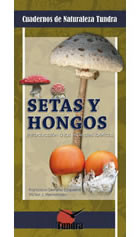 Setas y hongos. Introducción a las especies ibéricas