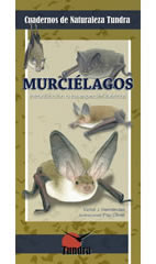 murciéagos