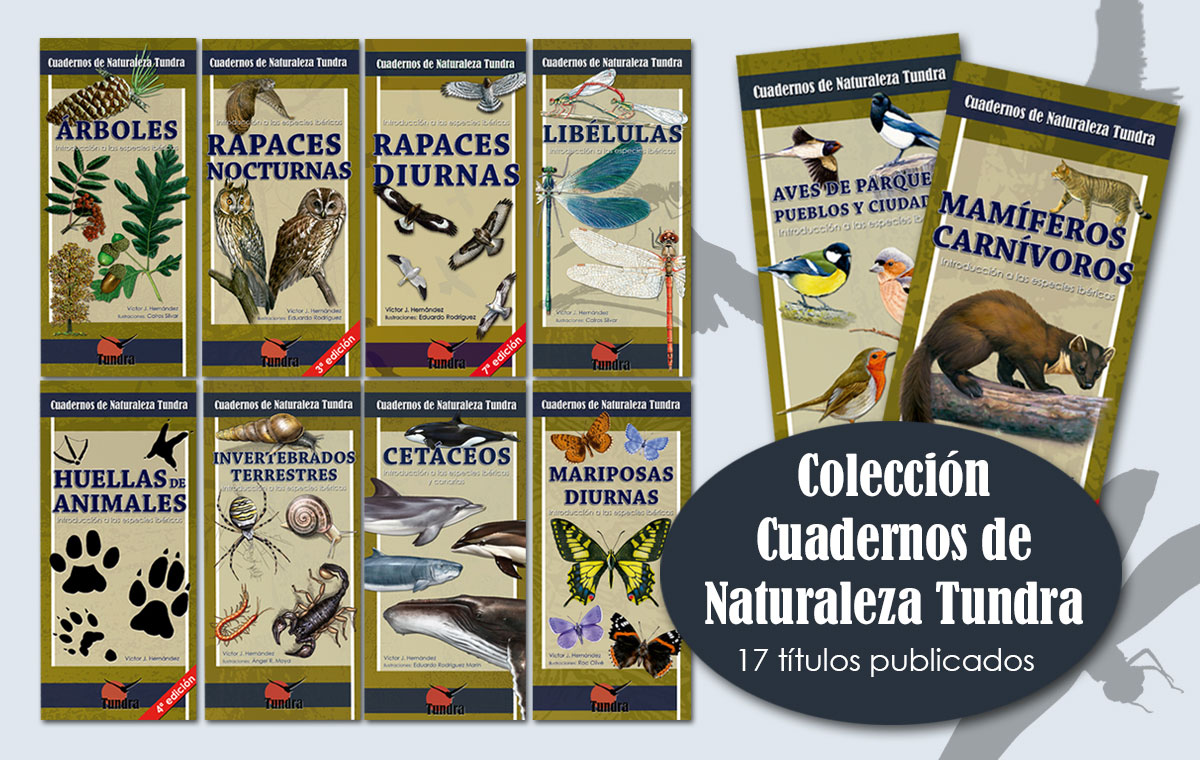 Cuadernos de Naturaleza Tundra