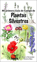 Mi primera Guía de Campo de Plantas silvestres