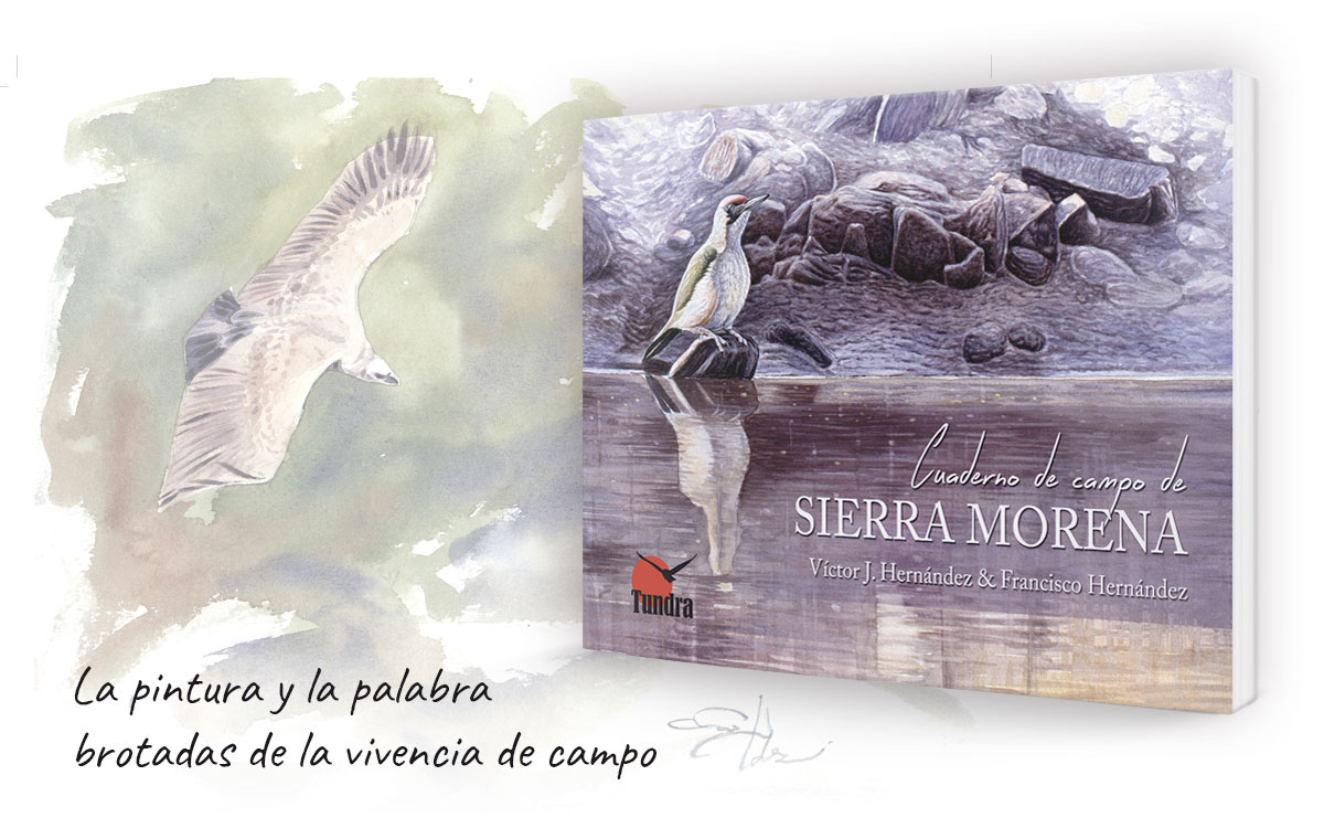 Cuaderno de campo de Sierra Morena