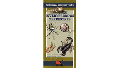 Invertebrados terrestres. Introducción a las especies ibéricas