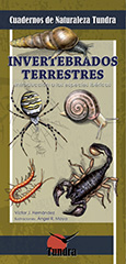 Invertebrados terrestres. Introducción a las especies ibéricas