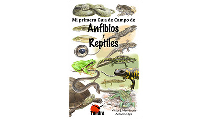 Mi primera Guía de Campo de Anfibios y reptiles