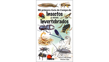 Mi primera Guía de Campo de Insectos y otros Invertebrados