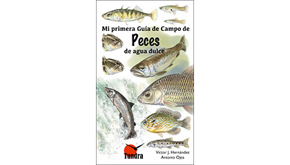 Mi primera Guía de Campo de Peces de agua dulce