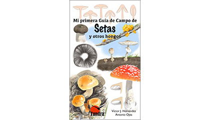 Mi primera Guía de Campo de Setas y otros hongos