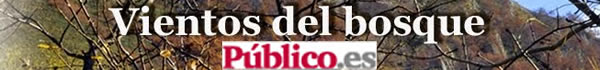 Vientos del bosque